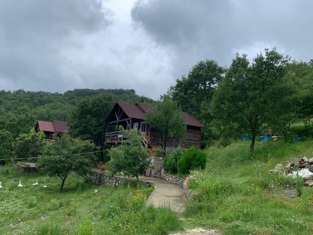 Origjina Farm Villa Permet Luaran gambar
