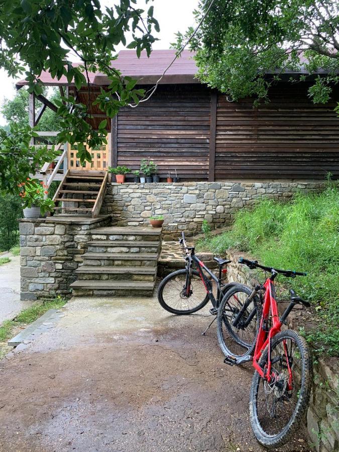 Origjina Farm Villa Permet Luaran gambar